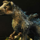 Illustration for article titled emThe Last Guardian/em Isnt Out Yet, But This Custom PC Hardware Is